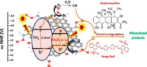 Proposed mechanism for the photocatalytic degradation of organic... | Download Scientific Diagram