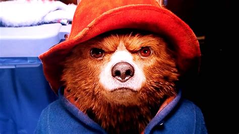 Картинки по запросу paddington mean | Paddington, Paddington bear, Kids hero