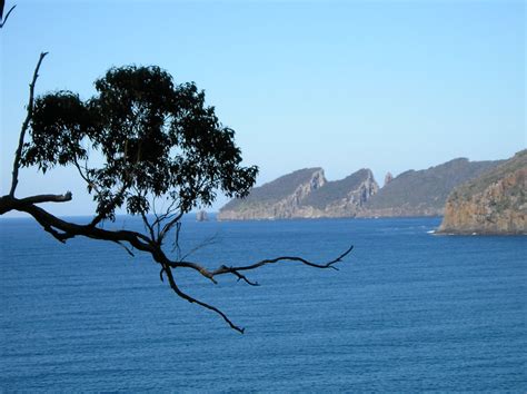 Fortescue Bay, Tasman Peninsula, Tasmania | Vivre le Voyage, Voyager la ...