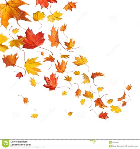 Fallen leaves clipart 20 free Cliparts | Download images on Clipground 2024