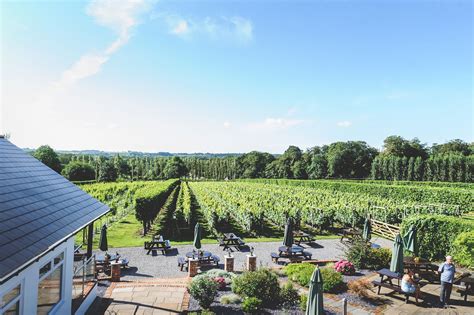 Why You Should Visit These British Vineyards