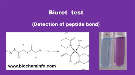 Biuret test: Principle, Reaction, Requirements, Procedure and Result ...