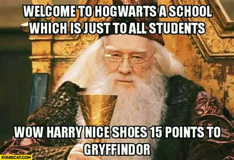 Welcome to Hogwarts, a school which is just to all students. Wow Harry nice shoes 15 points to ...