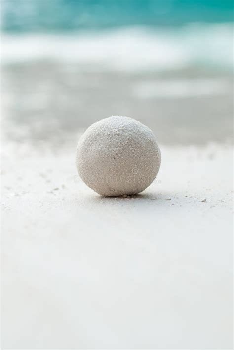 Sand Ball on Summer Tropical Sunny Beach Stock Photo - Image of color ...