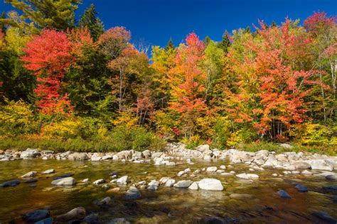 Autumn Trees By The River Free Stock Photo - Public Domain Pictures