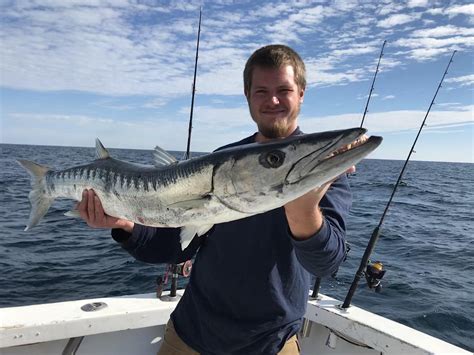 Barracuda I caught yesterday 53 miles offshore out of Little River. : r ...