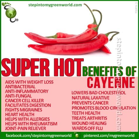 Benefits of cayenne pepper! | Health Benefits and nutrients of fruit ...