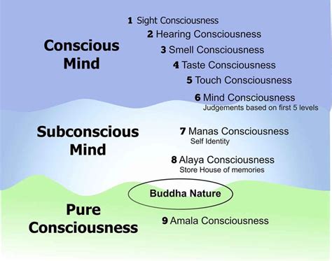 9 levels of consciousness - Margaret Blaine