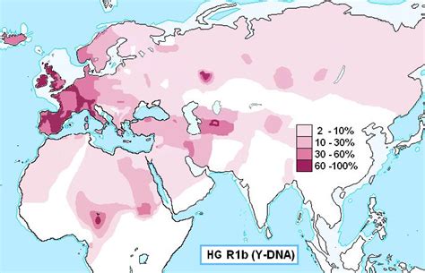 Haplogroup_R1b_(Y-DNA).PNG (687×443) | History, Genetics, Map