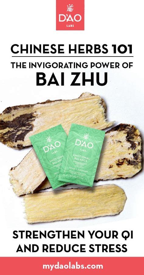 The Invigorating Power of Bai Zhu | Bai zhu, Chinese herbs, Whole food recipes