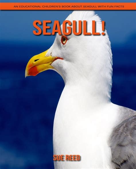 Seagull! An Educational Children's Book about Seagull with Fun Facts ...