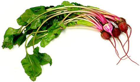 Chioggia Beets Information, Recipes and Facts