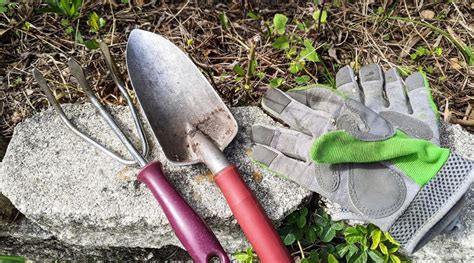 How To Start A Garden With Only Hand Tools | Storables