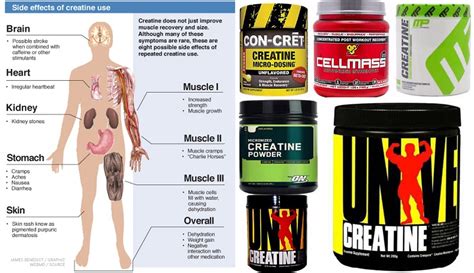 Blog para doidos!: Creatine Supplement – Monohydrate Side Effects ...