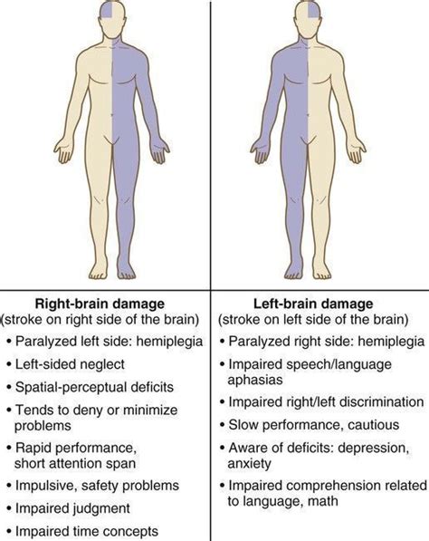 Right Brain Damage vs. Left Brain Damage | Nursing school survival ...