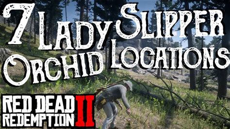 Rare Lady Slipper Orchid Rdr2 : Red Dead Redemption 2 - All 7 Lady Slipper Orchid ..., Maybe you ...