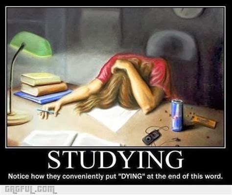 Studying | Funny quotes, School humor, Funny pictures