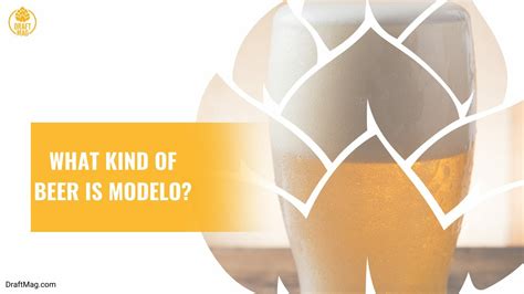 What Does Modelo Taste Like: Learn About Popular Mexican Beer