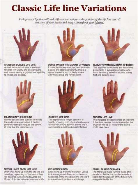 Palmistry Guide: Line of Life and its variations (part 1)