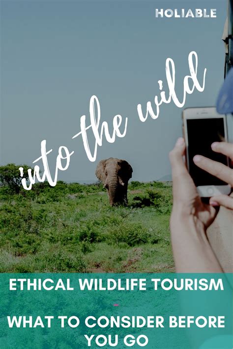 Wildlife Tourism: Good practices for ethical wildlife observation ...