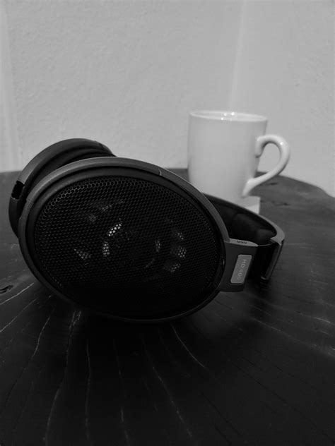 Sennheiser HD 600 | Headphone Reviews and Discussion - Head-Fi.org