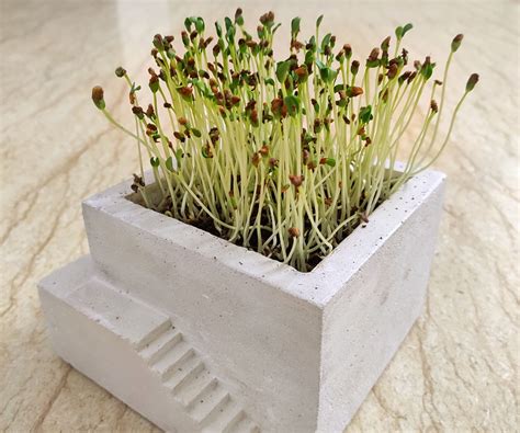 Cement Planter With Stairs : 8 Steps (with Pictures) - Instructables