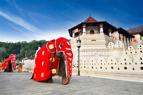 Temple of the Tooth (Sri Dalada) Museum | Attractions in Sri lanka