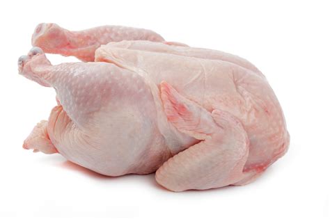 Frozen Whole Chicken Supplier | GBH Import Exports