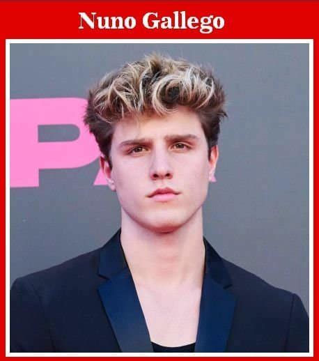 Nuno Gallego Biography, Age, Height, Net Worth, Career & Latest Info ...