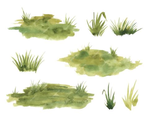 Premium Vector | Watercolor green grass isolated on white background ...