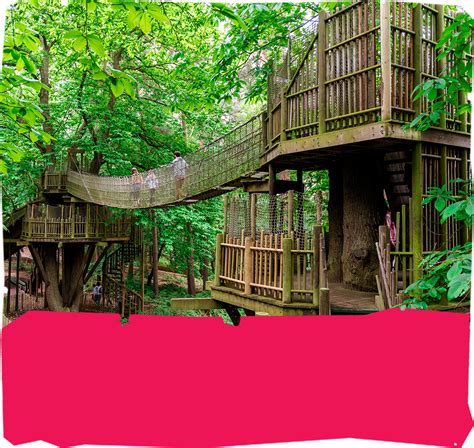 Cheshire Adventure Park | Fun and adventure play | Family days out in Cheshire – BeWILDerwood