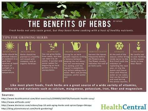 The Health Benefits Of Herbs [Infographic]