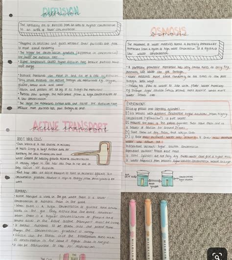 How to Revise GCSE Biology (and get grade 9) | The Exam Coach