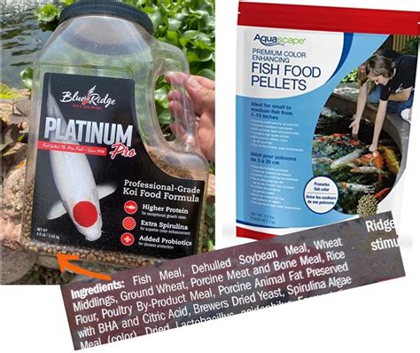 Koi food - What to know | Colorado Pond Pros