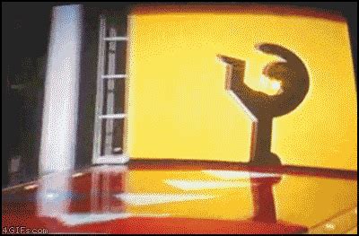 10 Funny Animated GIF's - Fantastic