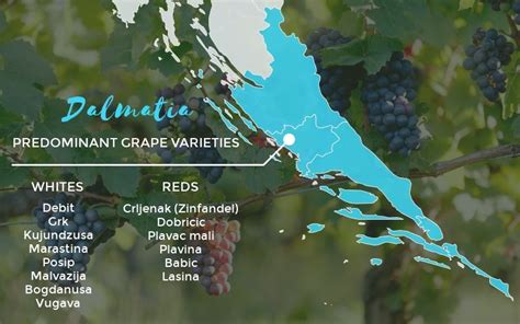 Croatian Wine Regions: Dalmatia - Total Croatia