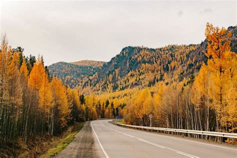 Extreme weather events in Siberia show climate change is accelerating ...