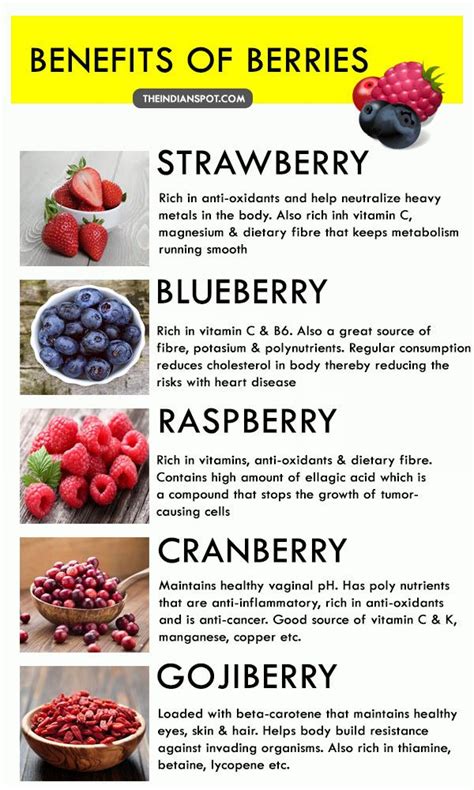 10 Types of Berries and Their Benefits - THE INDIAN SPOT | Fruit health ...