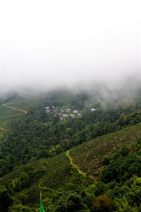 Darjeeling Tourism | Wrytin