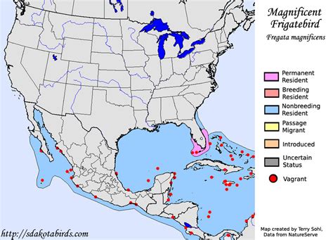 Magnificent Frigatebird - Species Range Map