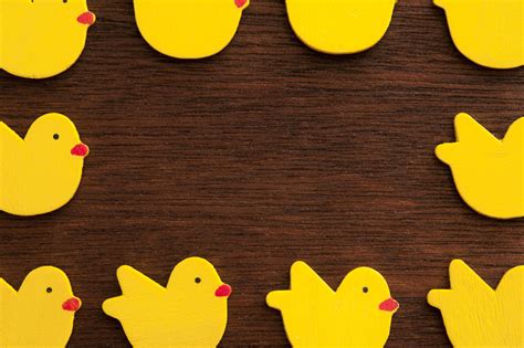 Colorful Easter border of little yellow chicks Creative Commons Stock Image