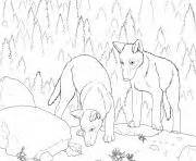 Arctic Wolf Coloring Pages