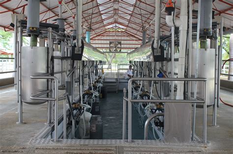 Download free photo of Milking,milking installation,order,cheese ...