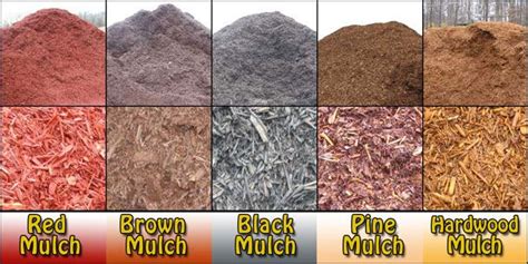 types of mulch - Google Search | Types of mulch, Mulch, Mulch landscaping