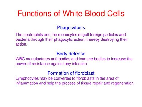 PPT - White Blood Cells (WBC) Normal and Abnormal PowerPoint Presentation - ID:1996172