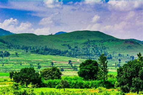 Best Time to Visit Araku Valley : Weather & Climate