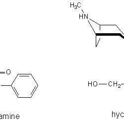 (PDF) Tropane alkaloids (from Datura sp.) as undesirable substances in animal feed 1 Scientific ...