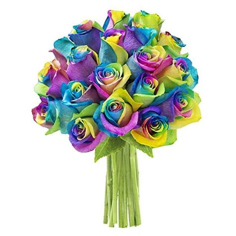 KaBloom: Bouquet of 18 Rainbow Roses - Fresh Flowers for Delivery - Walmart.com - Walmart.com