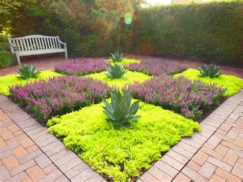 Garden With Drought Tolerant Creeping Sedum Stonecrop | Sedum garden, Plants, Succulents garden