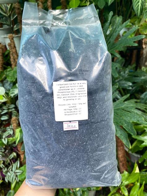 Carbonized Rice Hull (ASH) 1 kilo, Furniture & Home Living, Gardening, Soil & Fertilisers on ...